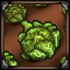 Cabbage Growing icon.png