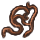Spruce Roots icon.png