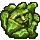 Curious Cabbage icon.png