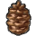 Pinecone icon.png