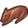 Raw Suckling Pig icon.png