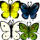 Any Butterfly icon.png