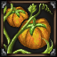 Pumpkin Planting icon.png
