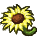 Sunny Sunflower icon.png