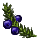Crowberry Stalk icon.png