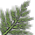 Fern icon.png