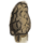 Boiled Yellow Morel icon.png