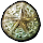 Sand Dollar icon.png