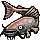 Long-Whiskered Catfish