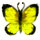 Little Yellow Butterfly icon.png
