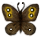 Wood Nymph Butterfly icon.png