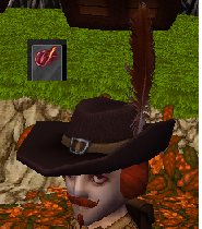 File:Musketeer's Hat.png