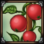 Horticulture icon.png