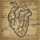 Anatomical Heart Wall Hanging icon.png