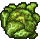 Cabbage icon.png