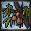 Nut Orchards icon.png