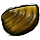 Clam icon.png