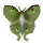 Luna Moth icon.png