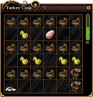 How is inside Turkey Coop.