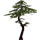 Elm Tree icon.png