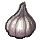 Garlic icon.png