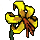Trout Lily icon.png