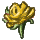 Yellow Rose icon.png
