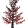 Red Maple Tree icon.png
