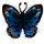 Red Spotted Admiral Butterfly icon.png