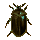 Beetle icon.png