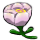 Pink Peony icon.png