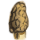 Yellow Morel icon.png