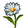 Daisy icon.png