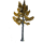 Birch Tree icon.png
