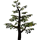 Oak Tree icon.png