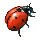 Ladybug icon.png