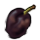 Rotten Plum icon.png