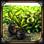 Tobacco Planting icon.png