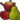 Fruit icon.png
