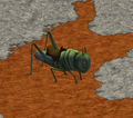 Giant Cricket.png