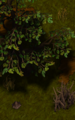 Woodland.png